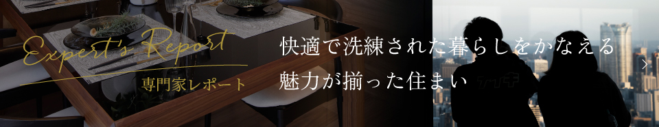 Expert's Report | 専門家レポート