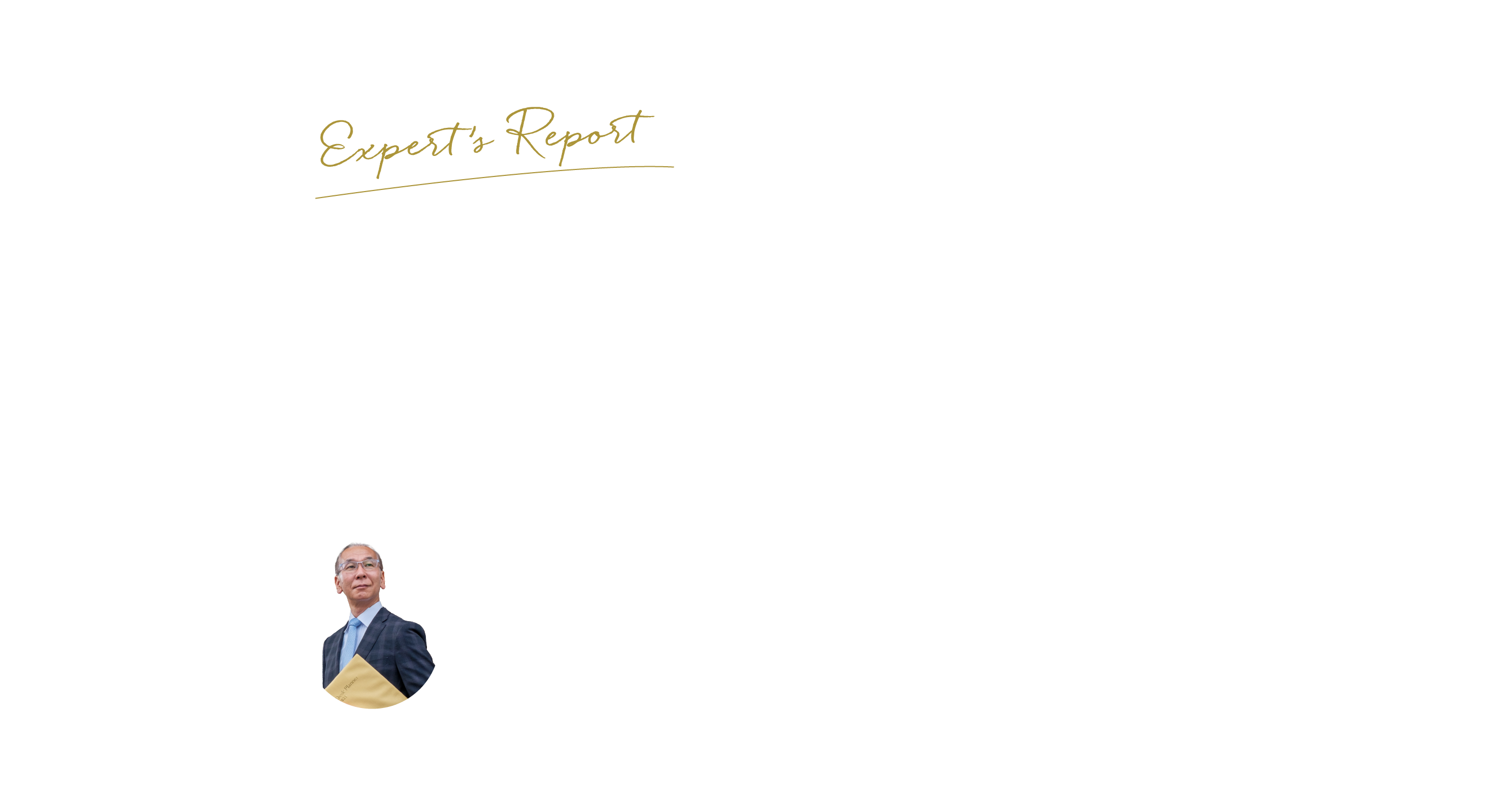 Expert's Report | 専門家レポート
