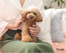 ペット飼育対応