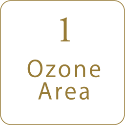 1 Ozone Area